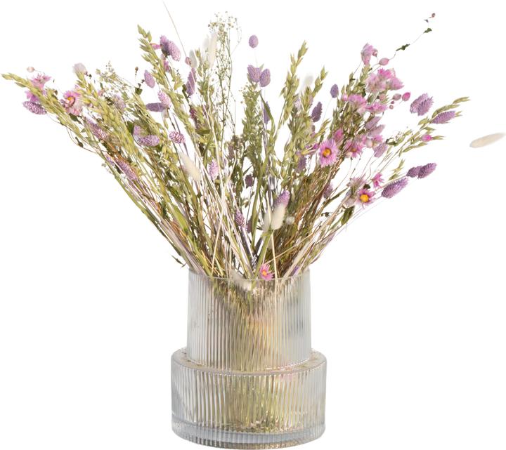 Produktbild Plant in a Box - (55 cm)