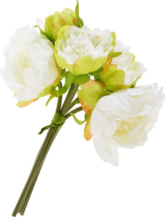 Cream