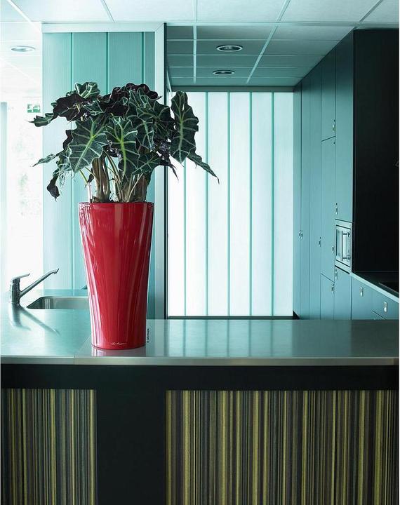 Produktbild Lechuza Delta (39 x 75.50 cm)