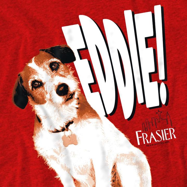 Produktbild Frasier TShirt (L)