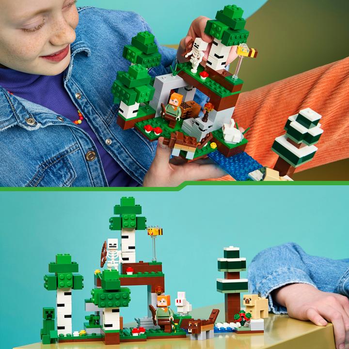 Produktbild LEGO Erstes Abenteuer in der Nacht (21593, LEGO Minecraft)
