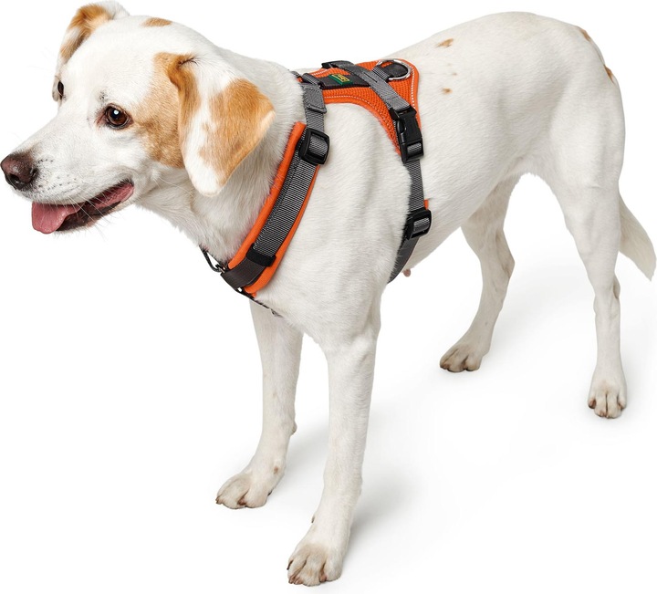 Actual product image Hunter Tableware Maldon (S, M, Dog, General)