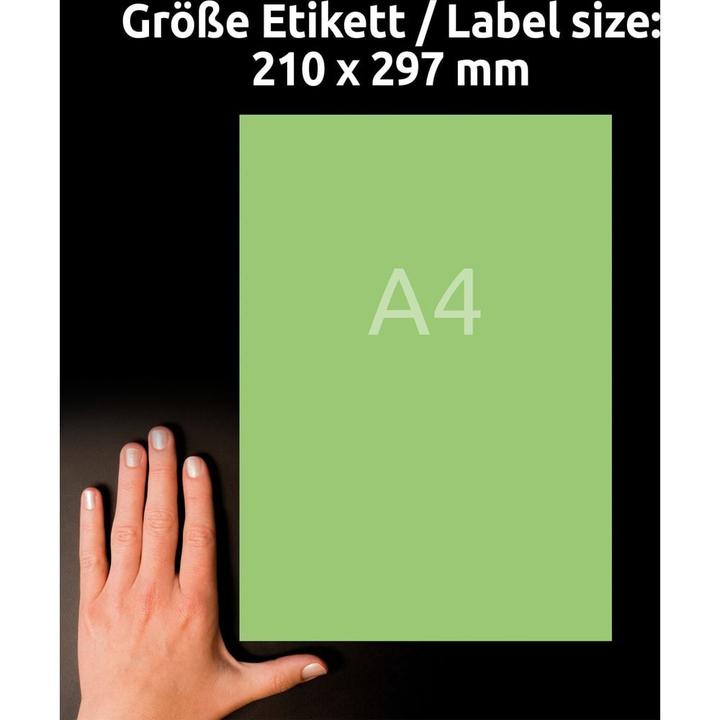 Produktbild Avery Farbige Etiketten
