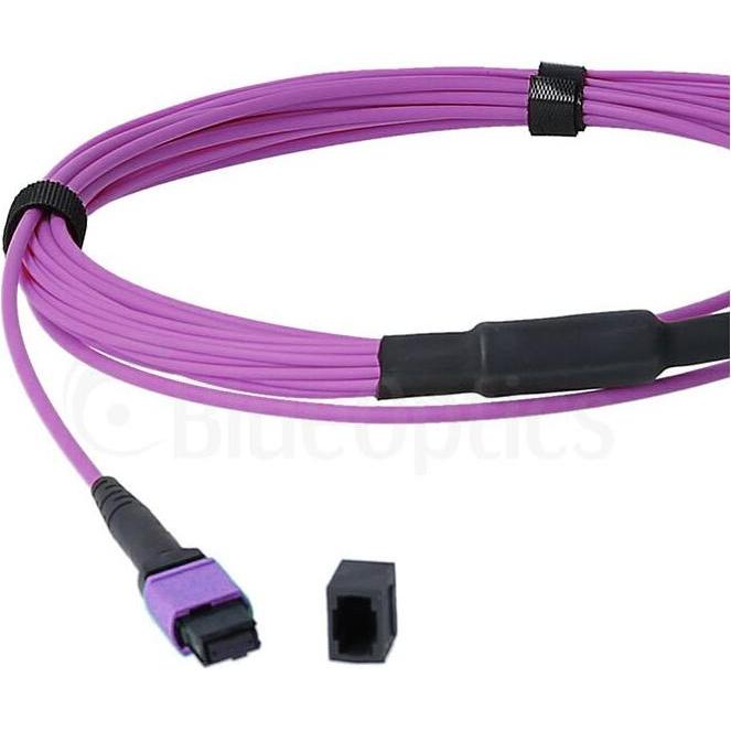 BlueOptics LWL MTP/8xLC Duplex Breakout Kabel OM4 1 Meter (1 m), Netzwerkkabel