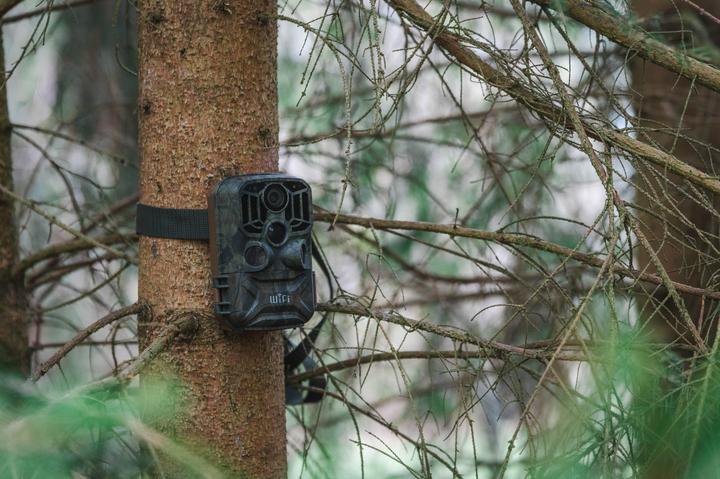 Actual product image Braun Photo Scouting Cam Black800