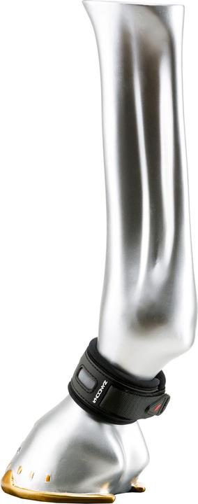 Produktbild Zandona Superior Air (M)