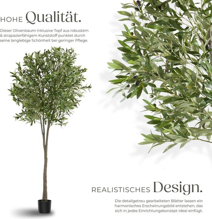 Image du produit tectake Olivier Oleand (210 cm)