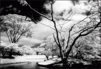 Actual product image Cokin Filter P007 Infrared 89B (82 mm, Infrared-passing filter, 84 mm)