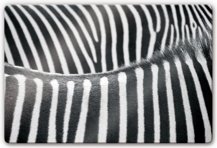 Image du produit Trenddeko Motif zèbre (60 x 40 cm)