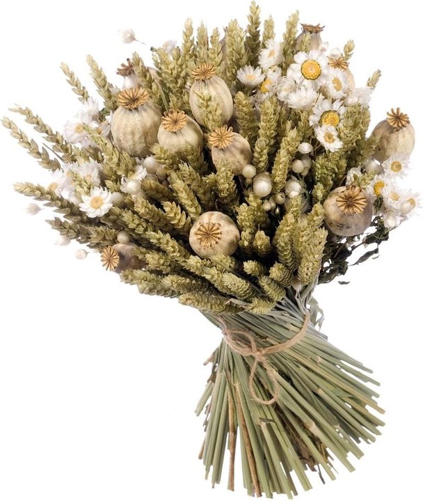 Image du produit Anjel Fleurs séchées (Fleurs séchées)