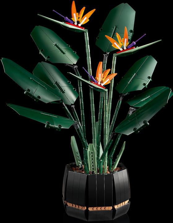 Actual product image LEGO Bird of Paradise (10289, LEGO Rare Sets)
