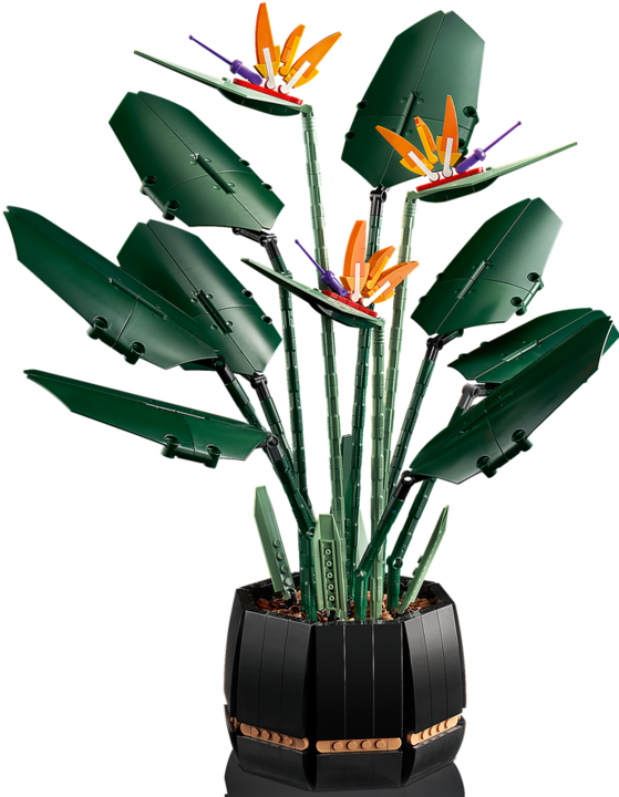 Actual product image LEGO Bird of Paradise (10289, LEGO Rare Sets)