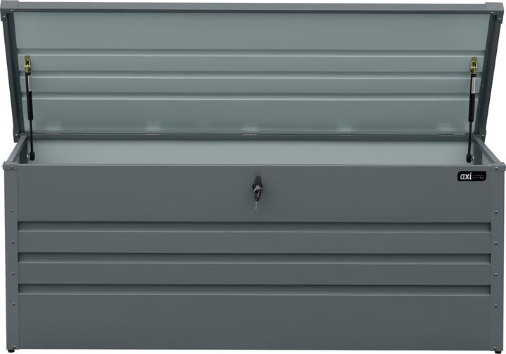 Actual product image Axi Miles