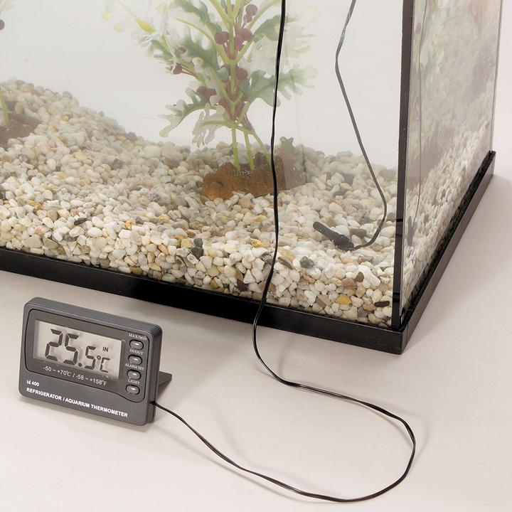 Image du produit EBI Thermomètre numérique avec alarme