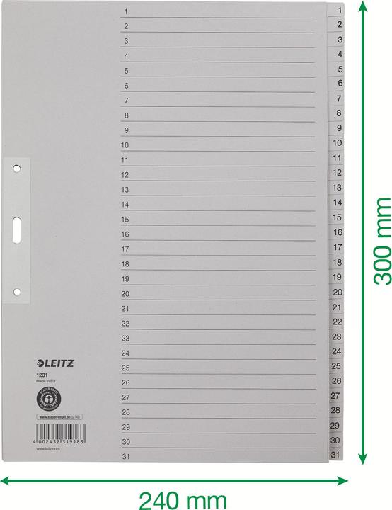 Actual product image Leitz Register paper gray