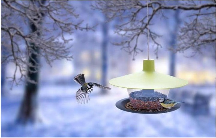 Actual product image Siena Garden Birdhouses