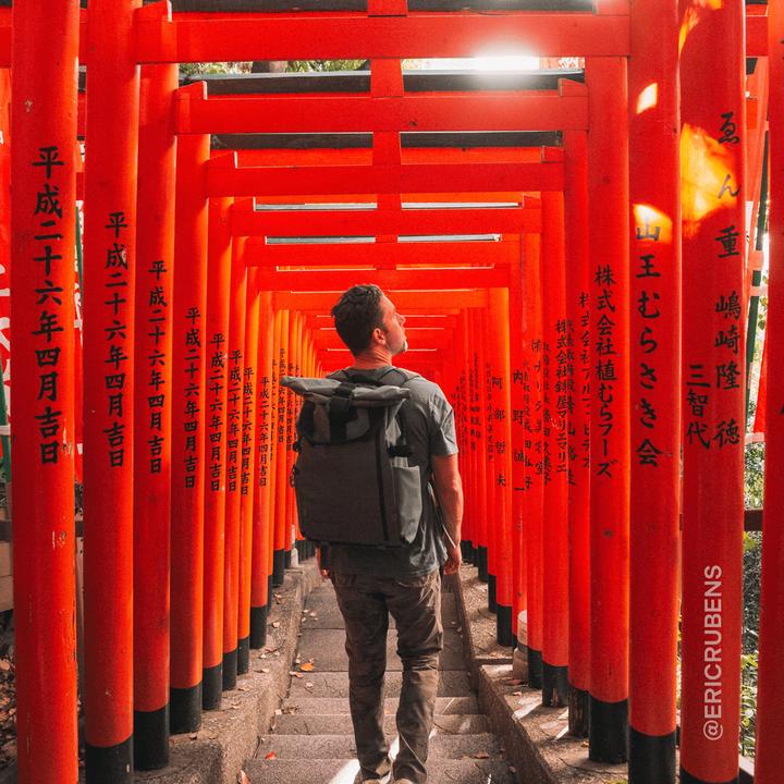 Actual product image Wandrd PRVKE 31L Wasatch Green Photo Bundle V4 (Photo backpack, 31 l)