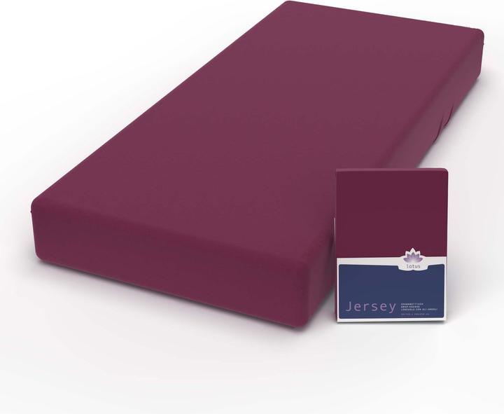 Actual product image Lotus Bettwaren Jersey Fix Comfort (140 x 200 cm, 160 x 200 cm)