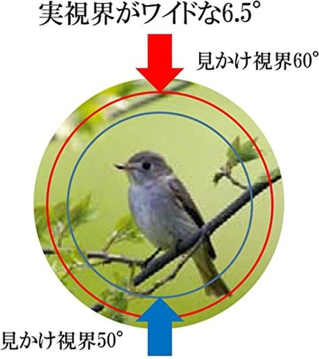 Actual product image Kowa Binoculars SVII 10x25 (10 x, 25 mm)