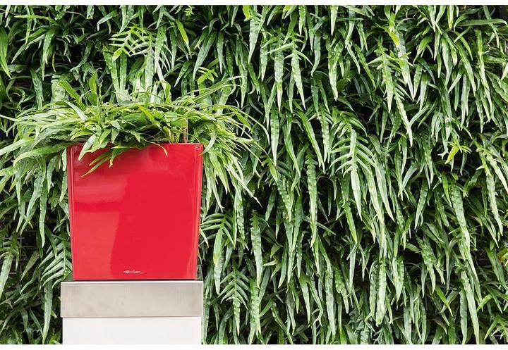 Productafbeelding Lechuza Kubus (39 x 39 x 40 cm)