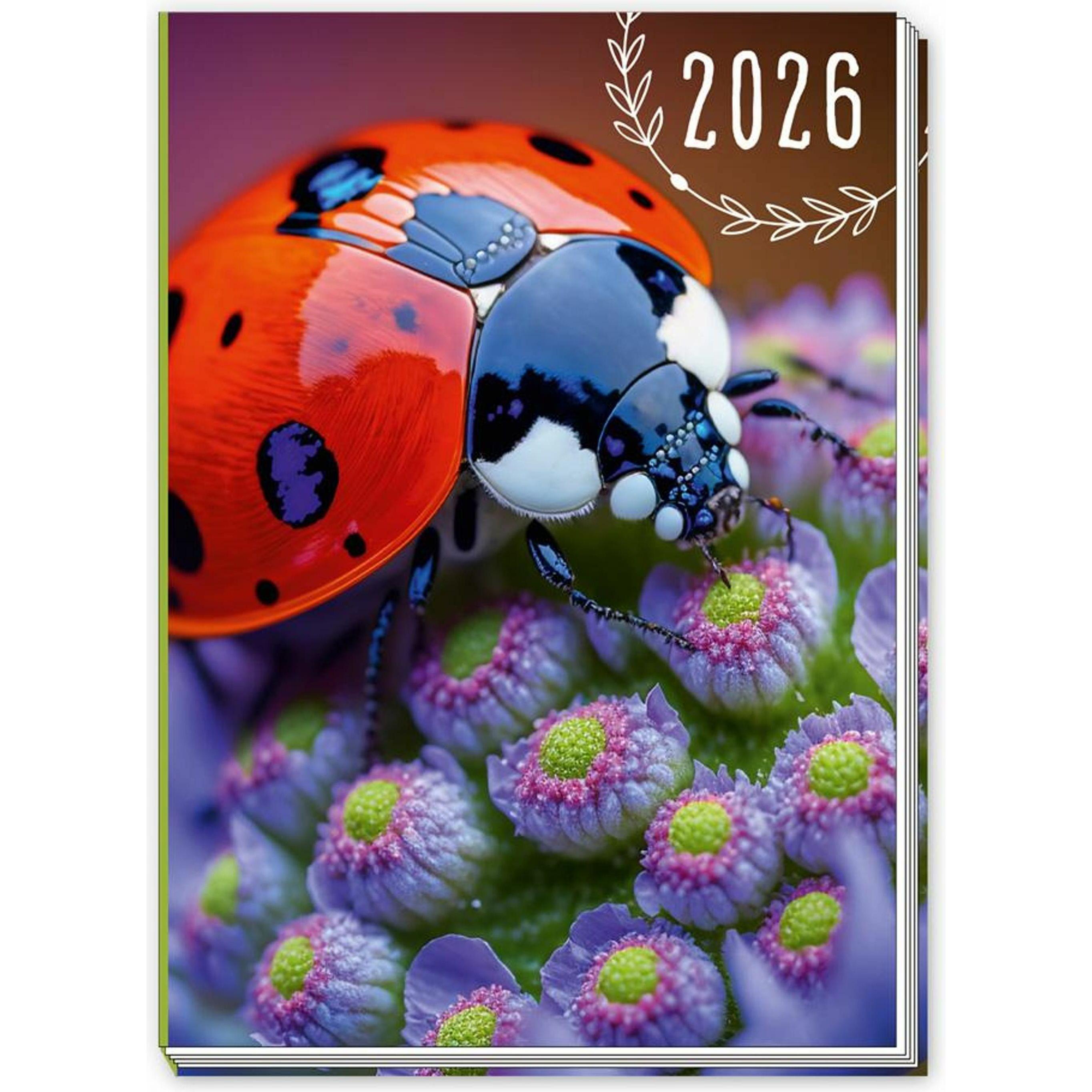 Trötsch Trtsch Taschenkalender A7 Marienkfer 2026 (1 Woche / 2 Seiten) (58023095)