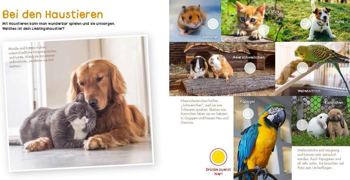 Image du produit Mon grand livre de sons - Le son des animaux (Allemand)