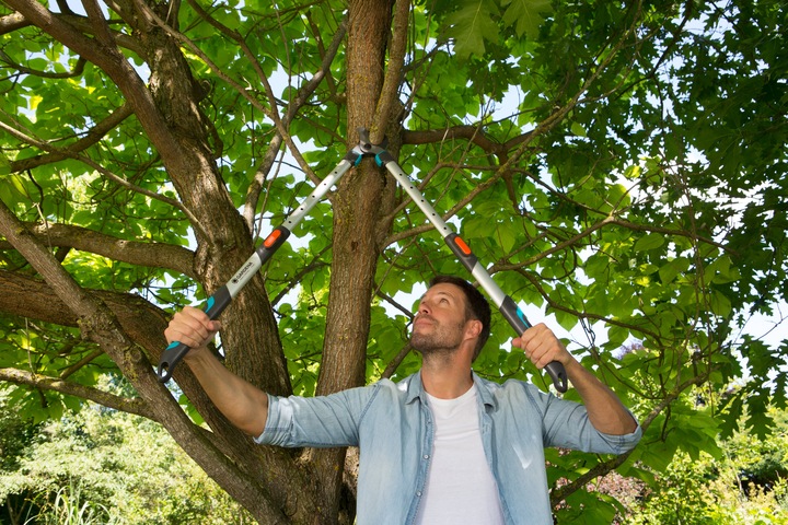 Image du produit Gardena Cisaille à branches longues TeleCut 650-900B