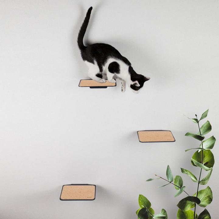 Actual product image LucyBalu STEPS Katzentreppe (Charcoal, Cork)