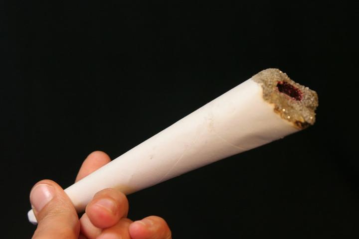 Actual product image Erfurth Joke Joint