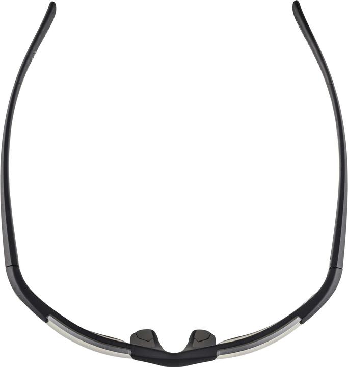 Actual product image ALPINA SPORTS Defey (Matt black, Transparent)