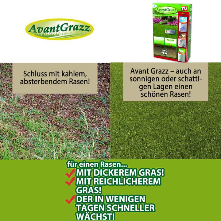 Actual product image Best direct Avant Grazz (Lawn reseed)