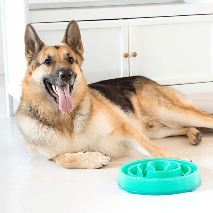 Image du produit Outward Hound Fun Feeder