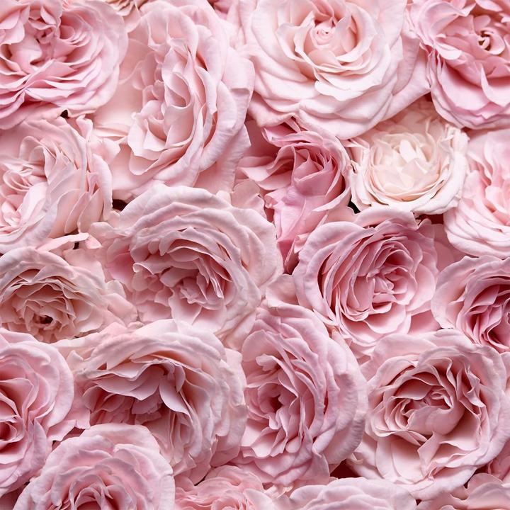 Produktbild Escada Especially (Eau de Parfum, 75 ml)