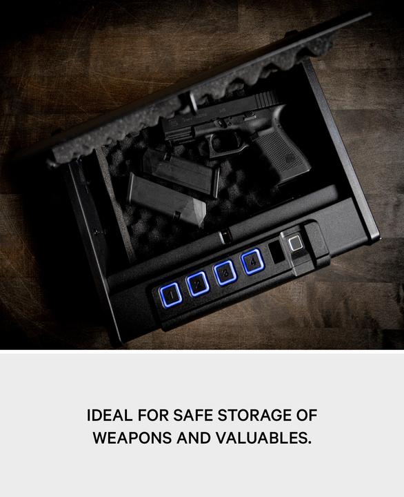 Immagine prodotto Paladin Cassaforte biomeccanica per le macchine digitali
