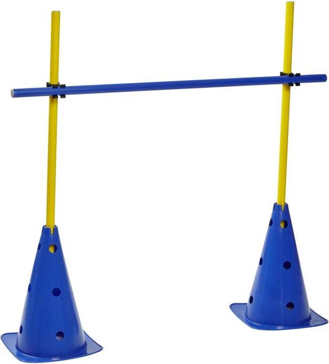 Kübler Sport Trainingshürde TEAM