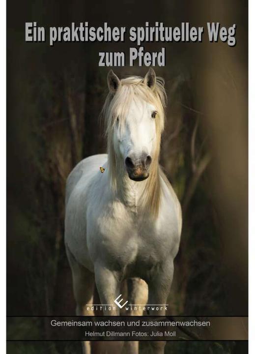 Produktbild Ein praktischer spiritueller Weg zum Pferd (Deutsch, Helmut Dillmann, 2015)