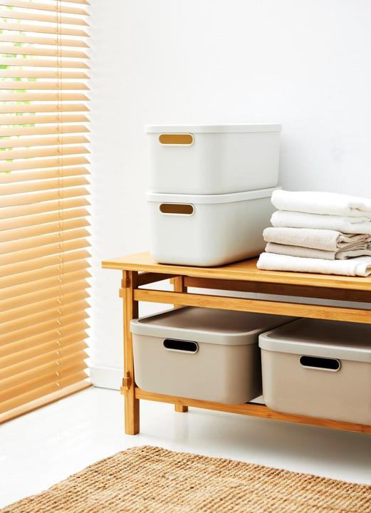 Actual product image Rotho Box12l Albula White (23.50 cm, 12 l)