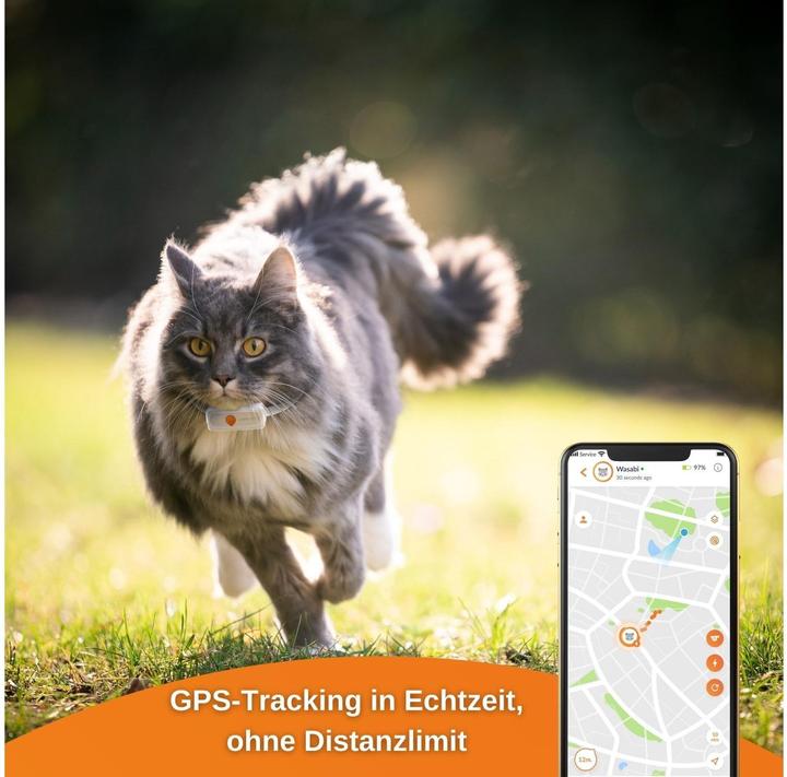 Immagine prodotto Weenect GPS Tracker XS per gatti, bianco (iOS, Android)