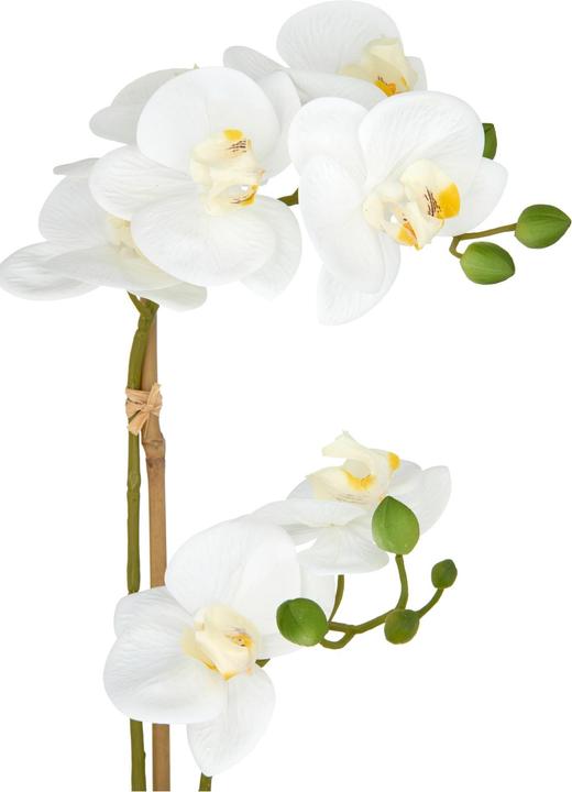 Immagine prodotto Disco Möbel Kunstpflanze Phalaenopsis (45 cm)