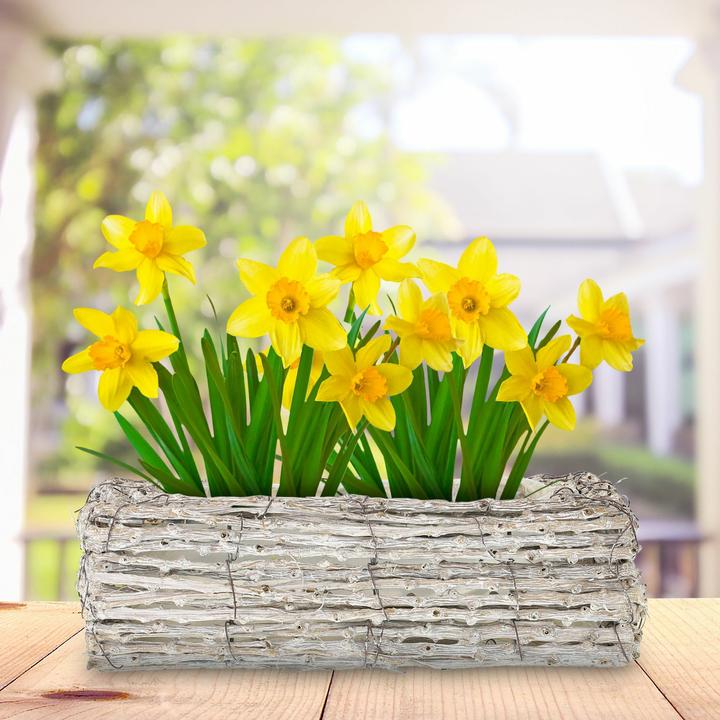 Image du produit Relaxdays Moshe (50 x 43.5 x 50 cm)