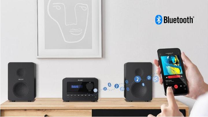 Produktbild Sharp XL-B514 Hifi Micro System gr (Bluetooth, CD Player)