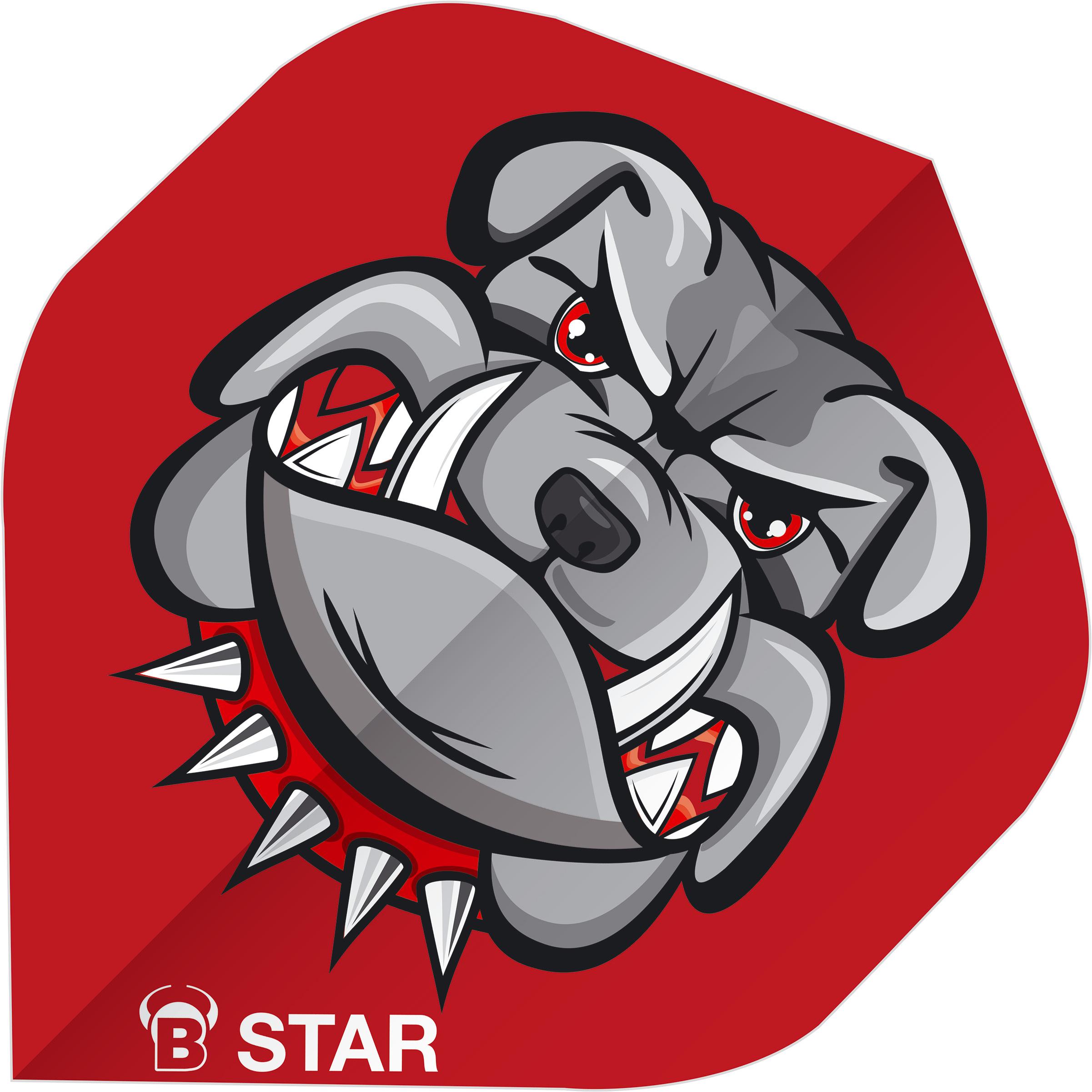 Thumbnail - Bull's B-Star Flights