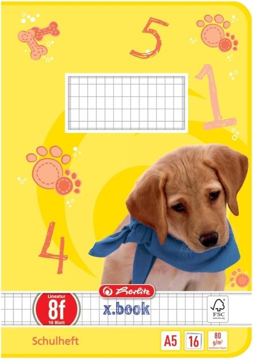 Herlitz Schulheft x.book, DIN A5, Lineatur 8f / rautiert (A5, Kariert, Harter Einband)