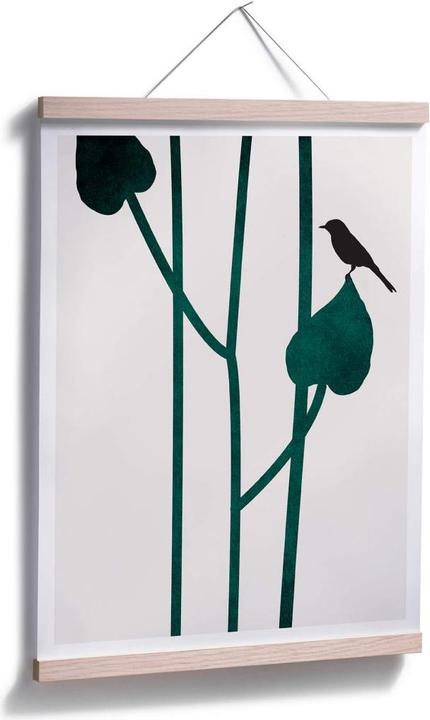 Image du produit Trenddeko Nature (24 x 30 cm)