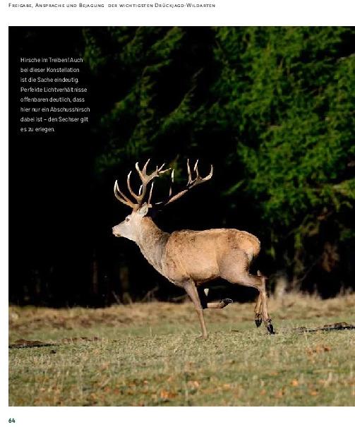 Immagine prodotto Drückjagd (Tedesco, Peter Diekmann, 2021)