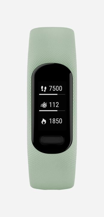 Immagine prodotto Garmin Vivosmart 5 (10.50 mm)