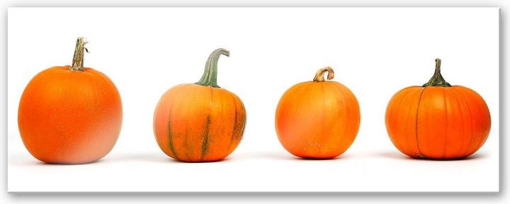 Actual product image Trenddeko Pumpkin varieties - Panorama (40 x 100 cm)