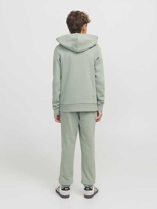 Immagine prodotto Jack & Jones JJELOGO SWEAT HOOD 2 COL 24/25 NOOS JNR (128)