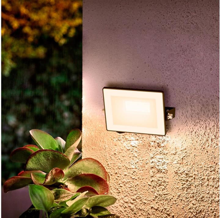 Actual product image Philips Outdoor Flutlicht Lois (900 lm, IP65)