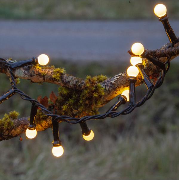 Produktbild Star Trading Berry Mini (6 m)